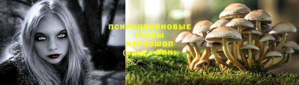 прущая мука Абаза